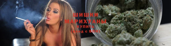 spice Абаза