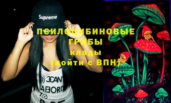 spice Абаза