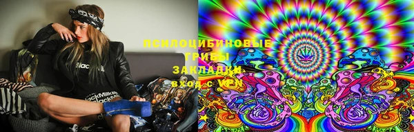 дурь Алексеевка