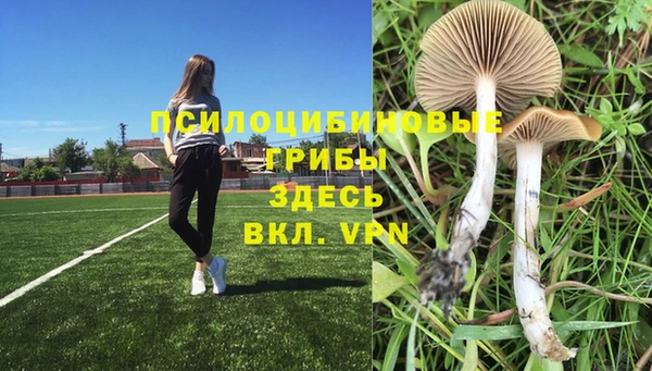 дурь Алексеевка