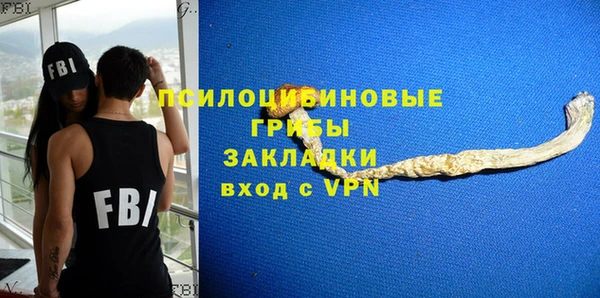 эйфоретик Алзамай