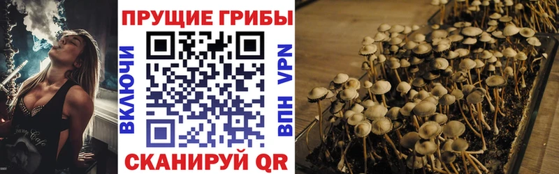 Псилоцибиновые грибы мухоморы  Троицк 